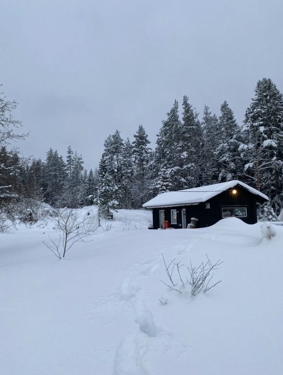 Фотография Коттеджа Частный дом Дом на финском хуторе Ханканмяки