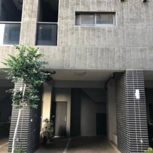 Фотографии мини отеля
Elk Kitten Homestay