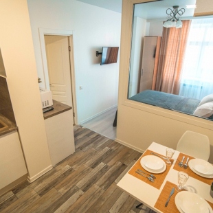 Фотография квартиры Apartment Studio No.565 в ЖК Династия