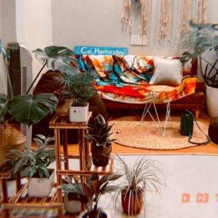 Фотографии мини отеля
Te House