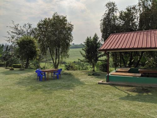 Фотография хостела Yes Hostel