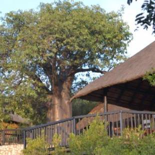 Фотографии базы отдыха
Adansonia Eco Lodge