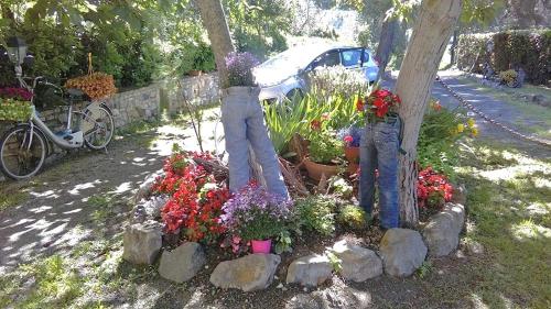 Фотография гостевого дома Agriturismo Il Gelso