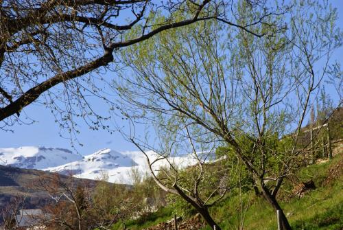 Фотография гостевого дома Casa Alpujarreña Fina Número 27