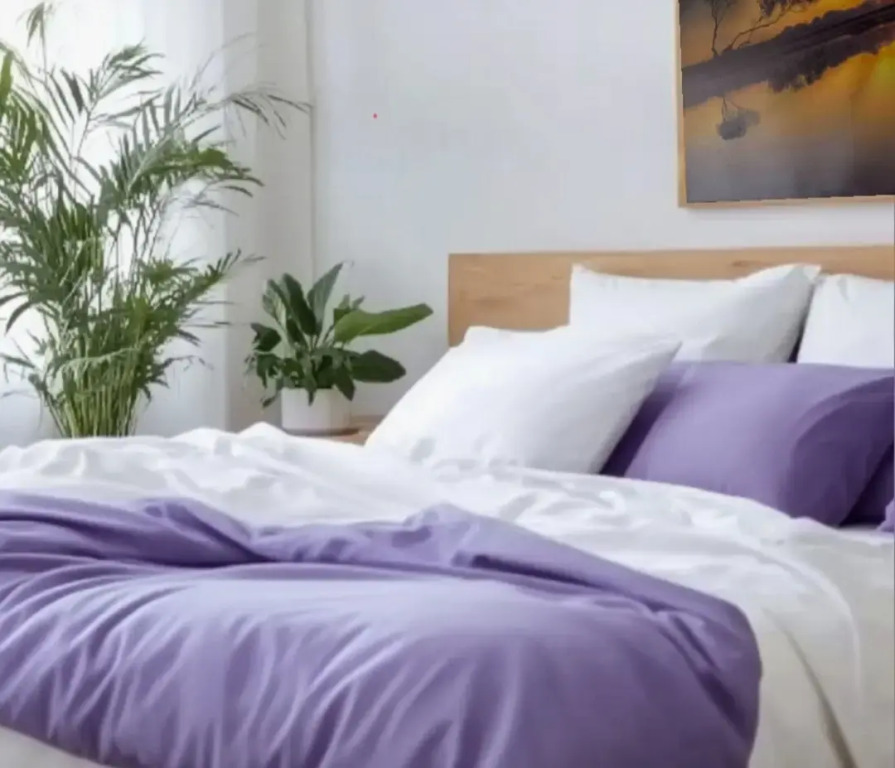 Фотография квартиры Квартира Двухкомнатная с Видом на Площадь