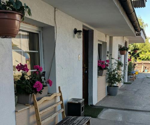 Фотография мини отеля Pokoje Przy Warszawskiej