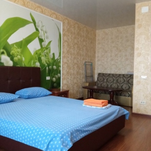 Фотография квартиры Апартаменты Энгельса 28