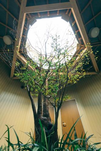 Фотография хостела Ise Guest House Kazami