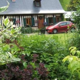 Фотографии гостевого дома
les orchidees sauvages