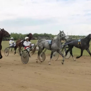 Фотография достопримечательности Ипподром