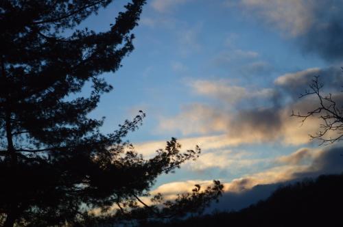 Фотография мини отеля B&B Cascina Bedria