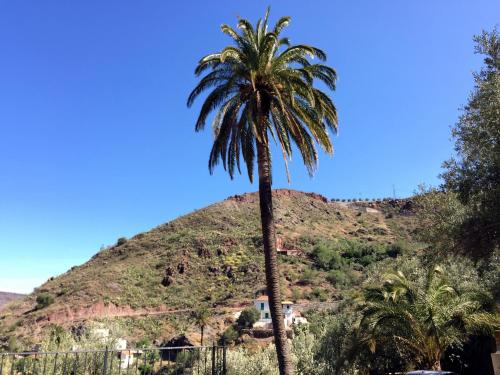 Фотография гостевого дома Finca Mariola - Alpendre