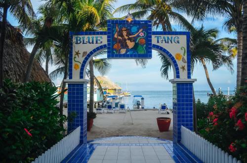 Фотография гостиницы Blue Tang Inn