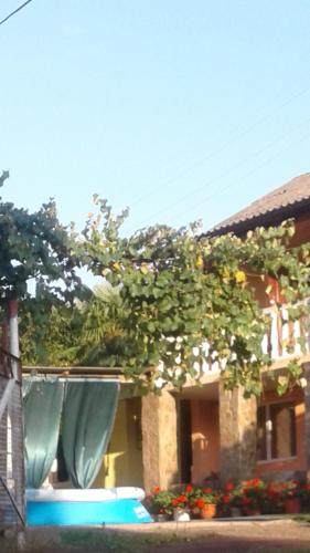 Фотография гостевого дома Новая волна