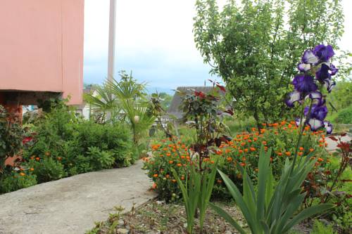 Фотографии гостевого дома
Отдых У Серго