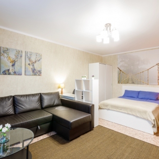 Фотография квартиры Апартаменты Сутки-24