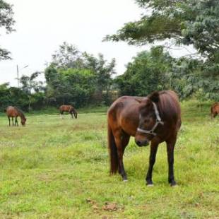 Фотографии гостиницы
Rung Nara Pool Villa