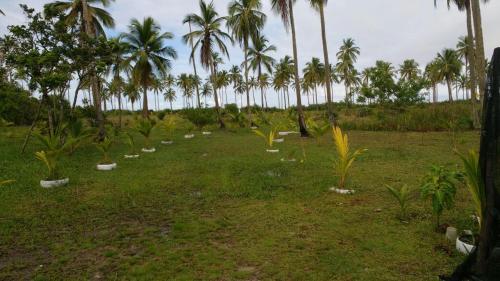 Фотография гостевого дома Cantinho da Paz