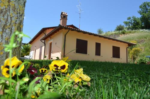 Фотография гостевого дома Il Vigneto