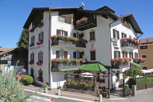 Фотография гостиницы Hotel Stella Alpina
