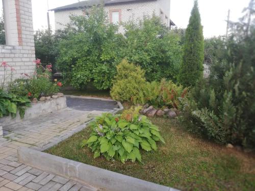 Фотография гостевого дома Домашний