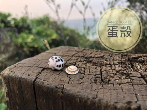 Фотография гостевого дома Danke Hostel