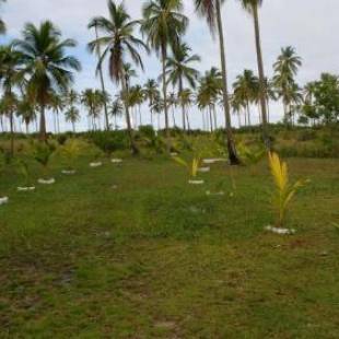 Фотографии гостевого дома 
            Cantinho da Paz