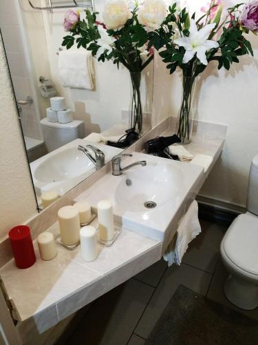 Фотографии гостевого дома
Черепаха