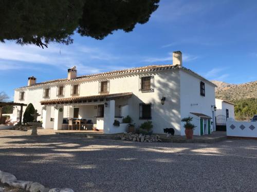 Фотография мини отеля B&B Cortijo El Ciruelo