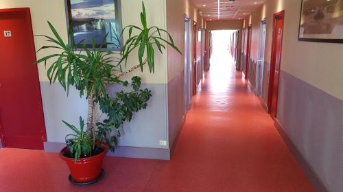 Фотография гостиницы Le Cormoran