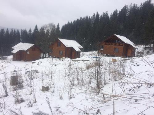 Фотографии базы отдыха 
            Данкен-Верховина