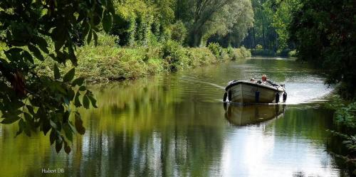 Фотография мини отеля Chillann