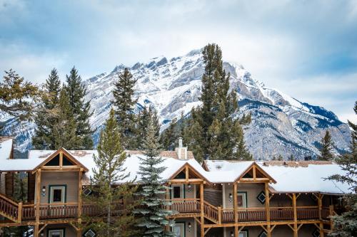 Фотография гостиницы Buffalo Mountain Lodge