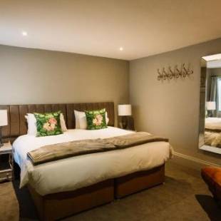 Фотографии гостиницы 
            Ginger Peanut