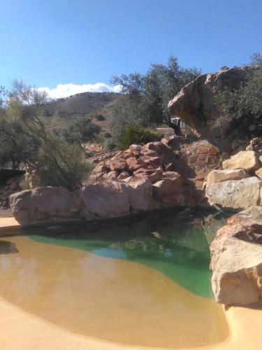 Фотография гостевого дома Biznaga