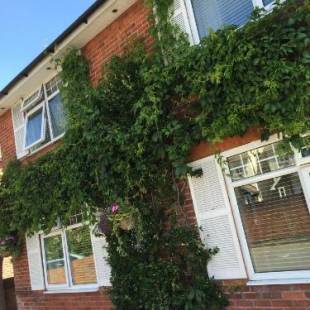 Фотографии мини отеля
Durlston House