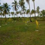 Фотография гостевого дома Cantinho da Paz