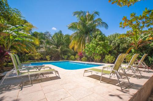 Фотографии гостевого дома 
            Tropical Garden Villa