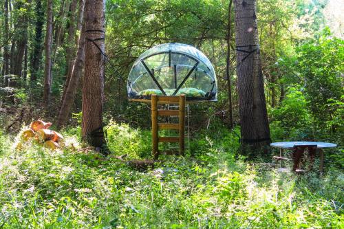 Фотографии базы отдыха
Les Bulles de la Maison du Rocher