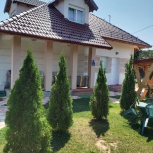 Фотография гостевого дома Vila Jelena Divčibare