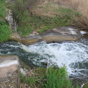 Фотография достопримечательности Ландшафтный заказник Шумок