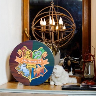 Фотография хостела Хогвартс