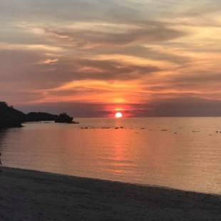 Фотографии гостиницы 
            D' Avila's Horizon Malapascua