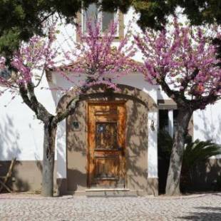 Фотографии гостевого дома 
            A Casa do Governador