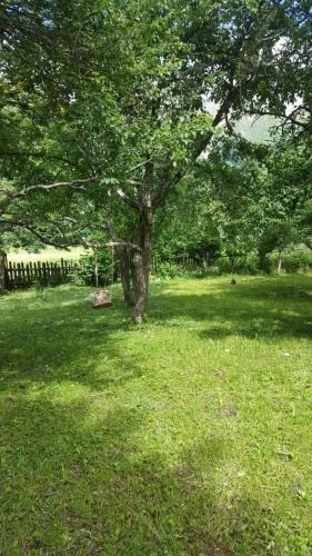 Фотографии мини отеля
georgia