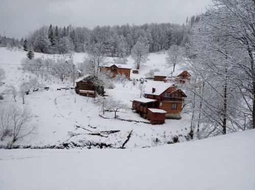 Фотографии гостевого дома
Буковый лес