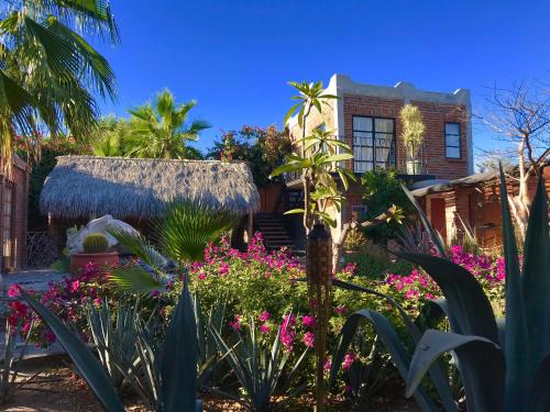 Фотография мини отеля Casa Xochitl