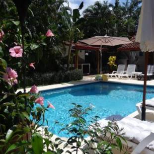 Фотографии мини отеля
Villa Botero By Casa Mojito