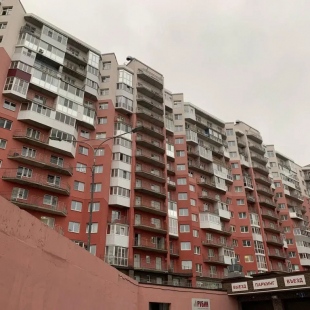 Фотография квартиры Счастливая матрешка на проспекте Ломоносова