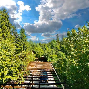 Фотография номера гостевого дома Лесная Усадьба 